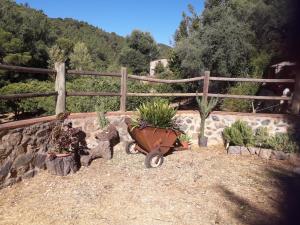 a garden with potted plants and a fence at La Toscana in Linares de la Sierra