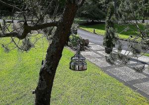 a fire hydrant sitting next to a tree at WALDHOTEL in Dierdorf