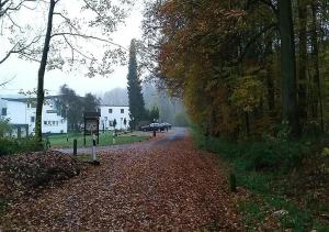 a dirt road with trees and cars on it at WALDHOTEL in Dierdorf