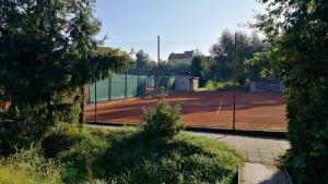 Tenis a/nebo squash v ubytování PENZION U BRÁZDŮ nebo okolí