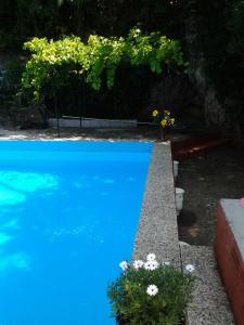 uma piscina azul com flores num quintal em Casa Fuente De La Argamasa em Cazorla