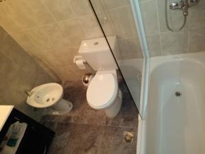 a bathroom with a toilet and a shower and a sink at Lagos del Sur in El Chalten