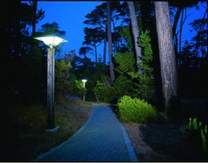 a street light in the middle of a path at night at Asilomar Conference Grounds in Pacific Grove