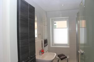 bagno con lavandino e doccia in vetro di Ferienwohnung Horn a Pirna