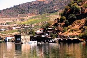 een rivier met een klein huis aan de kant van een berg bij Douro Yacht Charter & Bungalows in São João da Pesqueira