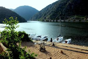 a group of boats docked on the shore of a lake at Douro Yacht Charter & Bungalows in São João da Pesqueira