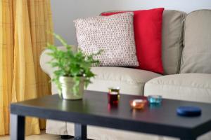 a coffee table with a potted plant on a couch at Casa Lola in Agaete