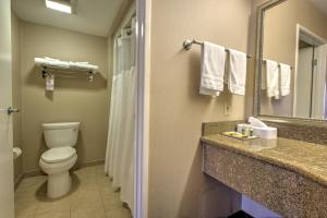 a bathroom with a toilet and a sink and a mirror at Burbank Inn and Suites in Burbank +16 photos