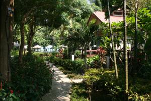 a path through a garden with trees and plants at Palita Lodge - SHA Plus in Haad Rin