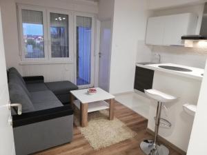 Kuchyň nebo kuchyňský kout v ubytování Apartman Škribulja