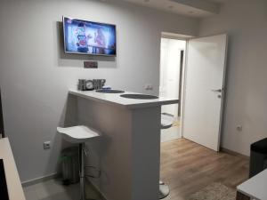 TV a/nebo společenská místnost v ubytování Apartman Škribulja