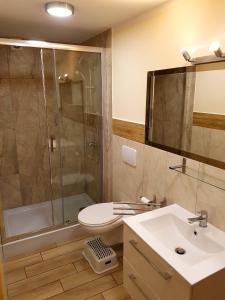 een badkamer met een douche, een toilet en een wastafel bij Apartament Grota in Szklarska Poręba