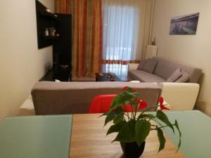 Posezení v ubytování Platos Academy Apartment