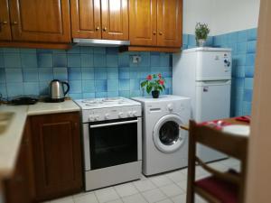 Kuchyň nebo kuchyňský kout v ubytování Platos Academy Apartment