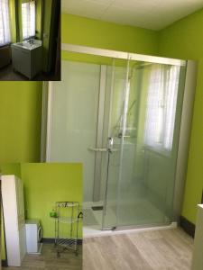a shower in a bathroom with green walls at Petite maison proche de Montbéliard in Sainte-Suzanne