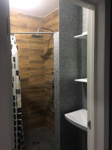 bagno con doccia e lavandino di Silver Star Apartment a Užhorod