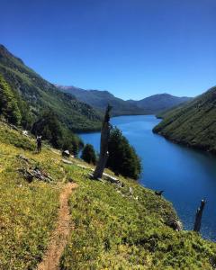 a view of a lake with a tree stump on a hill at Cabaña Lago Largo in Coihaique +11 photos