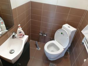 a bathroom with a toilet and a sink at Montana View in Poiana Brasov +36 photos