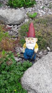 A garden outside Chalupa Levandula