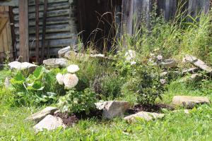 A garden outside Chalupa Levandula