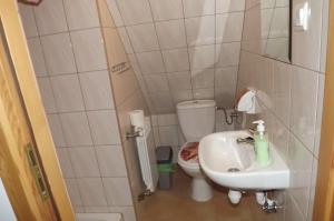 a small bathroom with a sink and a toilet at Prymulka in Zakopane