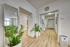 Kép Le Monde Apartment Bratislava - amazing 5BDR in downtown szállásáról Pozsonyban a galériában