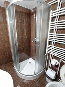 a shower with a glass door in a bathroom at Pensiunea Poarta Lui Ionele in Gârda de Sus