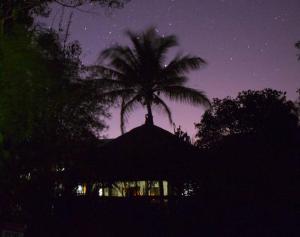 un palmier au sommet d'un bâtiment la nuit dans l'établissement The Island Retreat, à Kooringal