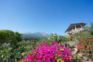 Paisaje cerca de este camping resort