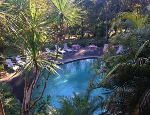 Avoca Beach Hotel内部或周边的泳池