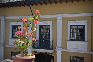 Zahrada ubytování TRAVELER'S HOUSE QUITO