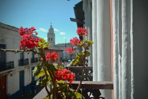 Fotografie z fotogalerie ubytování TRAVELER'S HOUSE QUITO v destinaci Quito