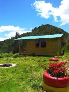 a small house with a grassy hill behind it at Cabaña San Martin in Guatavita