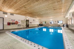 a large swimming pool with a wooden ceiling at Quality Inn in Clare