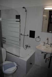 a bathroom with a shower and a toilet and a sink at Studios Loukia in Kokkari