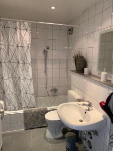 ハーメルンにあるAltstadtperle Hamelnのバスルーム(トイレ、洗面台、シャワー付)