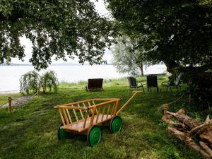 a wooden wagon sitting in the grass near the water at Ferienhaus zum See in Reichenau