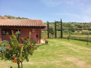 Gallery image of Agriturismo Le Giunchiglie in Alberese