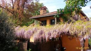 ein Haus mit einer Wisteria-Pflanze davor in der Unterkunft Fienile FICO Fiera in Bologna