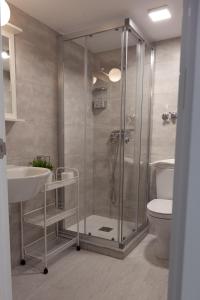 a bathroom with a shower and a toilet and a sink at GoToSeville FERIA APARTMENTS in Seville