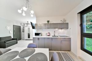 Kuchyň nebo kuchyňský kout v ubytování Apartament Szarotka - Apartamentuj