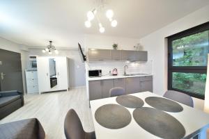 Kuchyň nebo kuchyňský kout v ubytování Apartament Szarotka - Apartamentuj