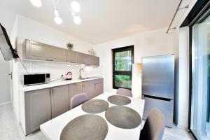 Kuchyň nebo kuchyňský kout v ubytování Apartament Szarotka - Apartamentuj