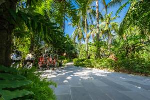 Zahrada ubytování Coco Palm Beach Resort