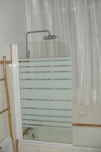 a bathroom with a shower curtain and a tub at Château De Serrigny in Ladoix Serrigny
