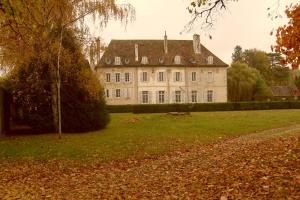 a large white house in a field with a tree at Château De Serrigny in Ladoix Serrigny