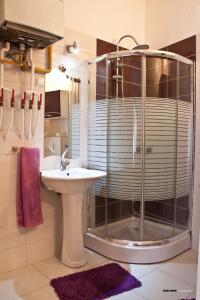 y baño con ducha y lavamanos. en Apartments and Rooms Fonty, en Sarajevo