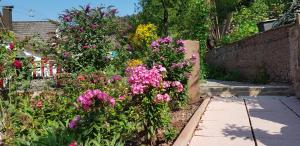 un jardín con flores rosas y una acera en Talstadtblick en Schramberg