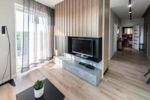 Televízia a/alebo spoločenská miestnosť v ubytovaní D Apartments Centrum Jurowiecka