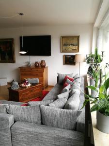 uma sala de estar com um sofá e uma televisão de ecrã plano em LUXURIÖSE FERIENWOHNUNG CONFLUENTIA IN DER KOBLENZER ALTSTADT em Koblenz